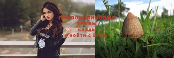 герыч Верхний Тагил