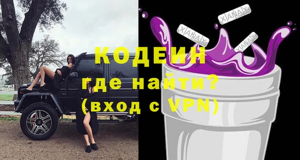 мет Елизово